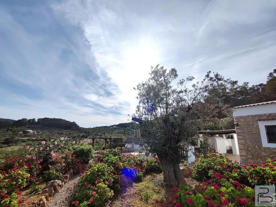 Casa Can Lluc Con Piscina, Jardin Y Vista Al Campo Sant Miquel de Balansat Eksteriør billede