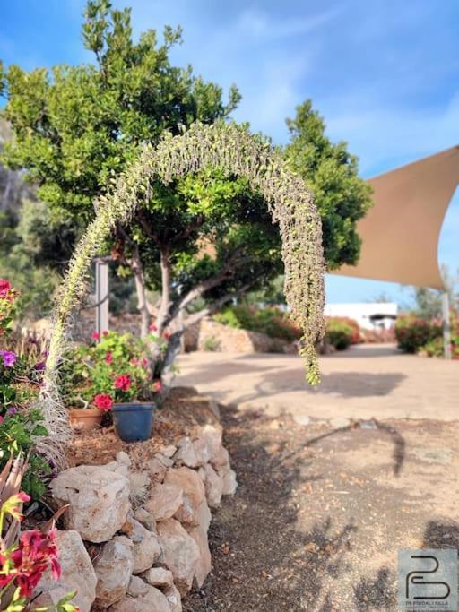 Casa Can Lluc Con Piscina, Jardin Y Vista Al Campo Sant Miquel de Balansat Eksteriør billede