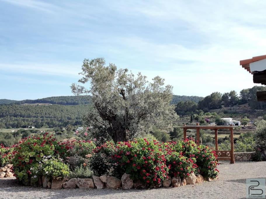 Casa Can Lluc Con Piscina, Jardin Y Vista Al Campo Sant Miquel de Balansat Eksteriør billede