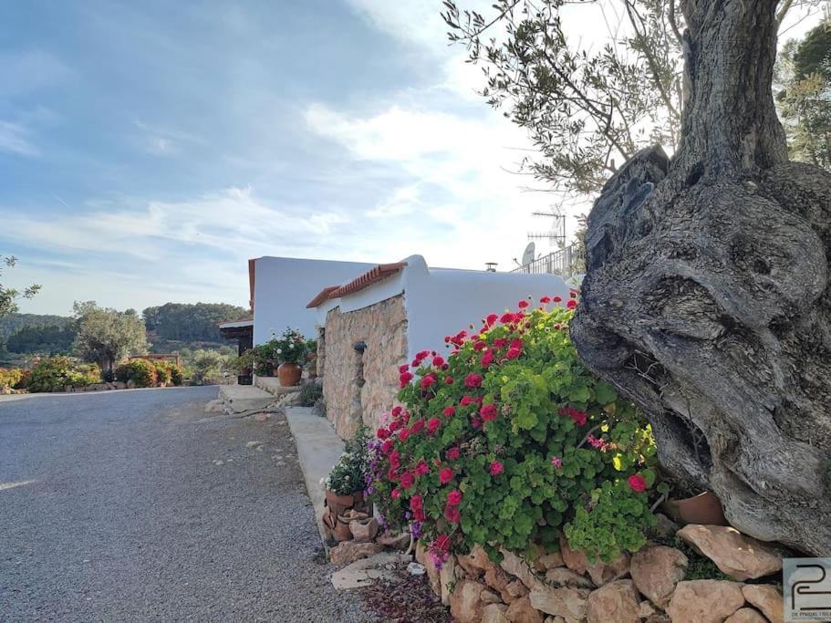 Casa Can Lluc Con Piscina, Jardin Y Vista Al Campo Sant Miquel de Balansat Eksteriør billede